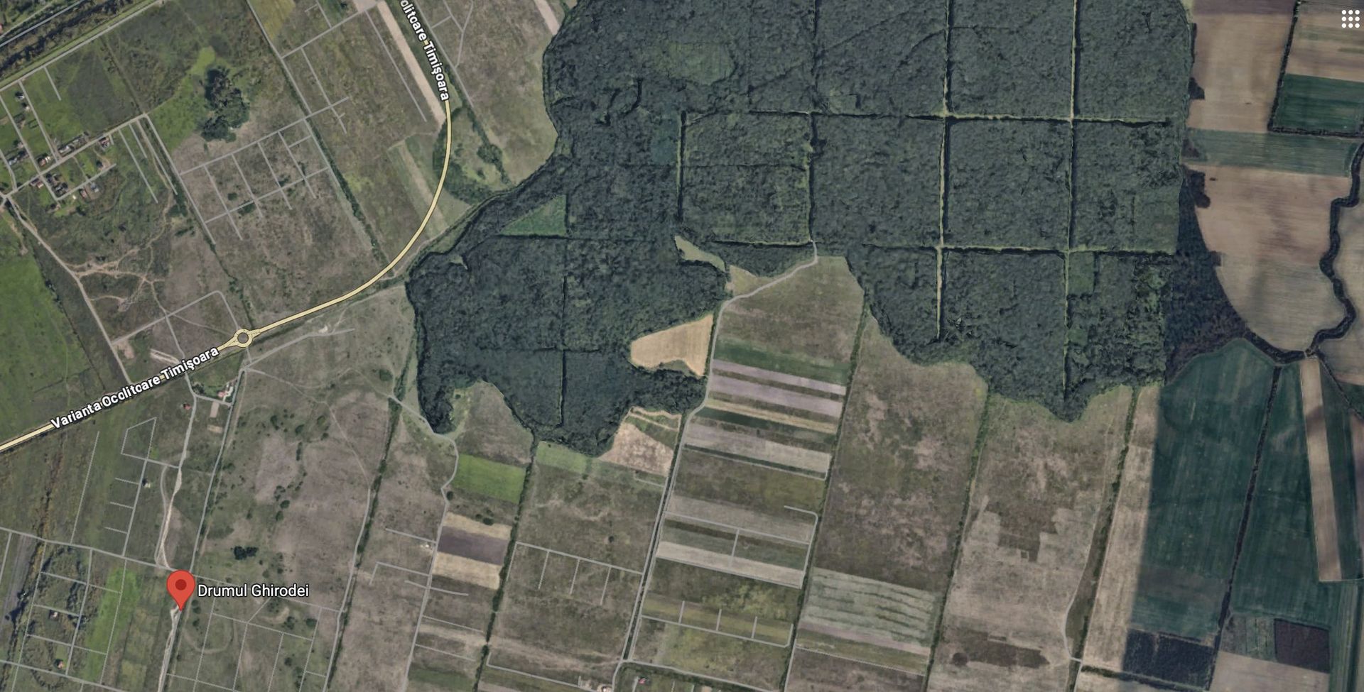 Teren zona Mosnita Padurea Bistra - Poză 1