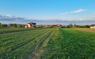 Teren intravila Ilișești - Poză 5