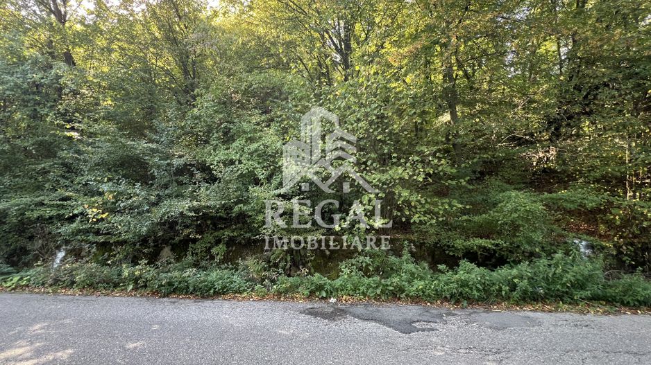 Teren extravilan de vânzare – Lacul Cinciș - Poză 3