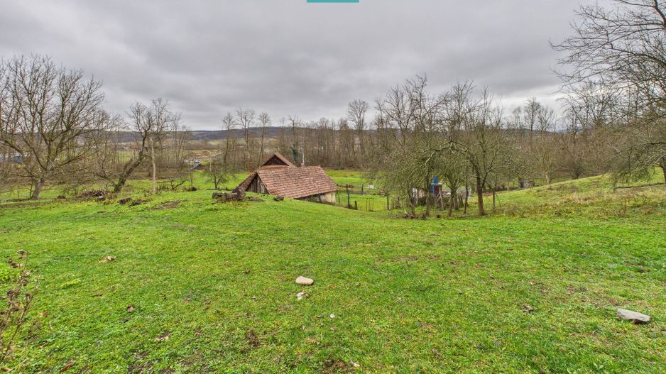 Casă cu teren de 24.679,73 mp, în Hălmagiu, Arad - Poză 14