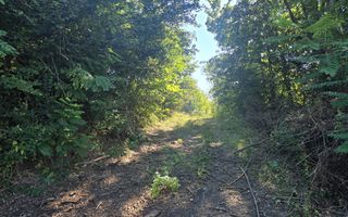 Teren intravilan de vanzare Cornu - Poză 7