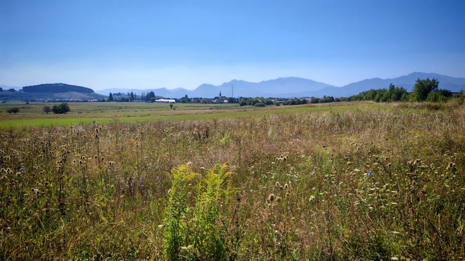 Teren intravilan,447 mp,SANPETRU iesirea spre BOD, utilitati. - Poză 3