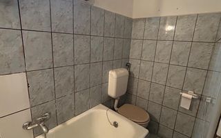 Casa Duplex I Curte I Pivnita I Terezian - Poză 6