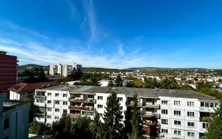 2 camere, Parcare, Premium, Platina, USAMV, Lukoil, Big Belly,Manastur - Poză 14