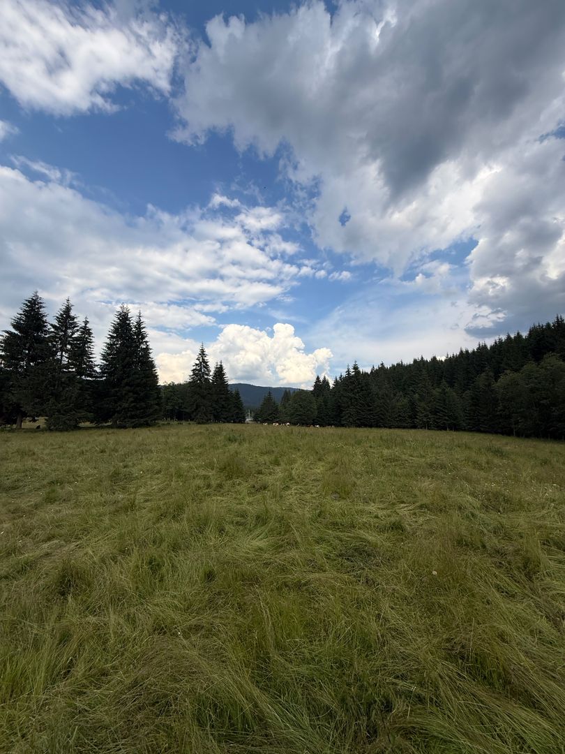 PARCELE DE VÂNZARE, pe malul râului BÂSCA, COMANDAU, COVASNA - Poză 13
