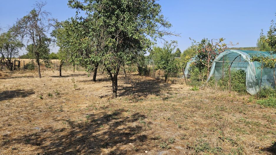 Vanzare casa Leordeni - Poză 2