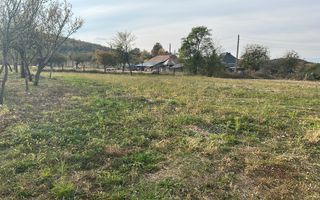 Teren intravilan – 1.135 mp, sat Crampotani, com. Merisani - Poză 3
