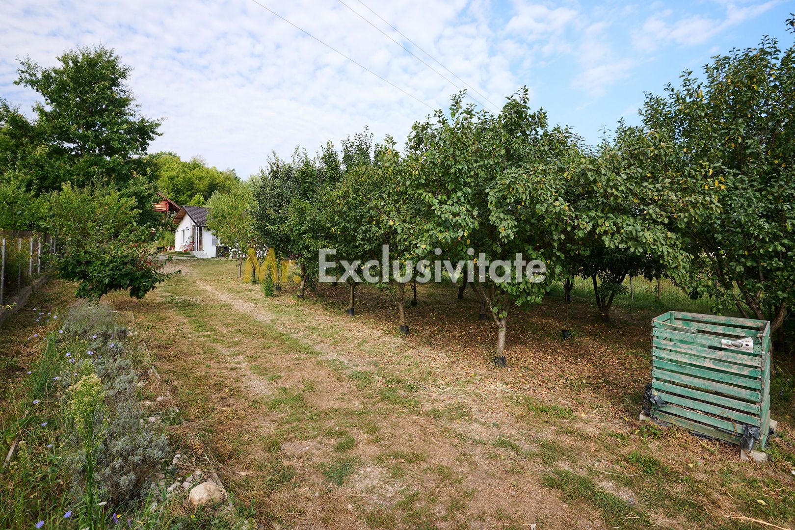 Doua CASE in aceeasi curte–BABANA, ARGEȘ | 1.485 MP TEREN - Poză 20