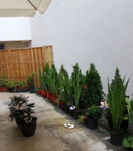 Apartament 3 camere LUICA 94 MP - Poză 6