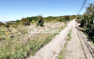 Teren intravilan 16.500mp 55euro mp deschidere de 82m la E60 - Poză 3