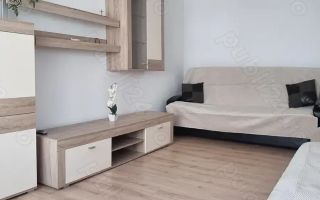 Petre Ispirescu Bârcă - Poză 3