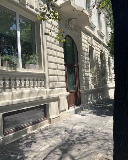 Vila reprezentativa Calea Grivitei/Calea Victoriei - Poză 2