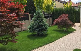 Spatiu pentru birouri de inchiriat in Centrul Istoric - Poză 3