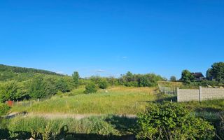 Teren extravilan 1300 mp - Poză 3