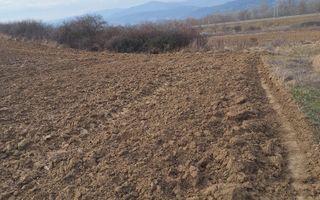 Teren agricol de vanzare, Salistea - Poză 3