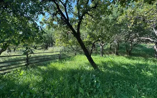 De vanzare: casa in inima unei superbe zone de deal, Valeni-Dambovita - Poză 18