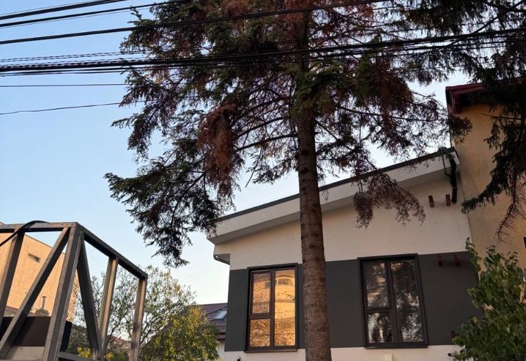 Vila verde cartier Baneasa - Poză 4