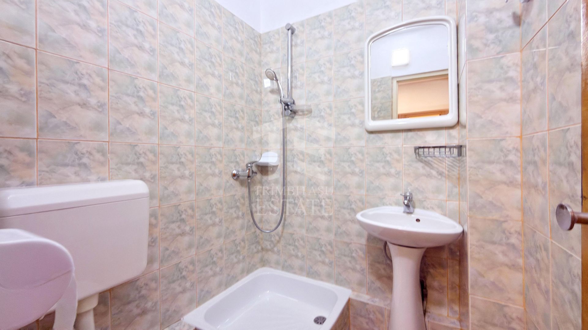 Apartament 3 camere Lacul Tei Teiul Doamnei - Poză 13