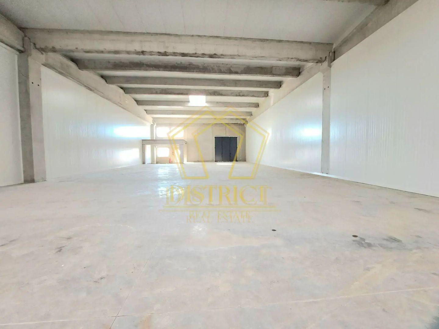 Spatiu tip Hala Noua I Sanandrei - Poză 3