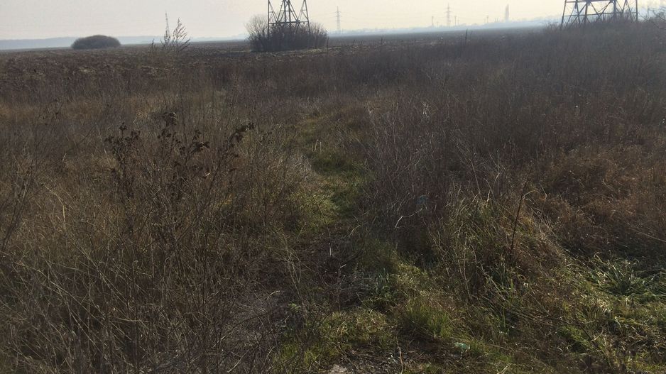 teren Cernica sat Caldararu - Poză 7