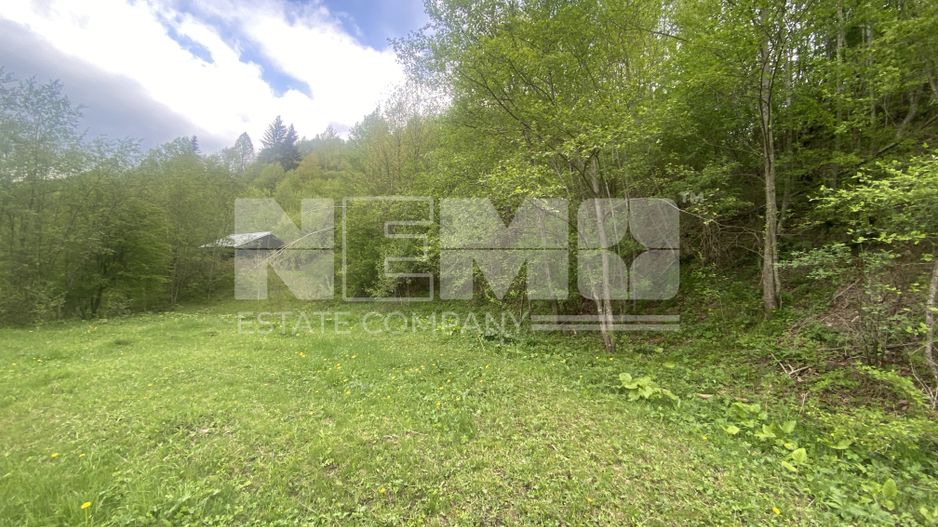 Teren Intravilan | Câmpulung Moldovenesc | 31ARI - Poză 8