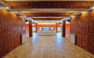 VANZARE VILA | HALA IN VLADICEASCA | SNAGOV | 10.500 MP TEREN - Poză 9