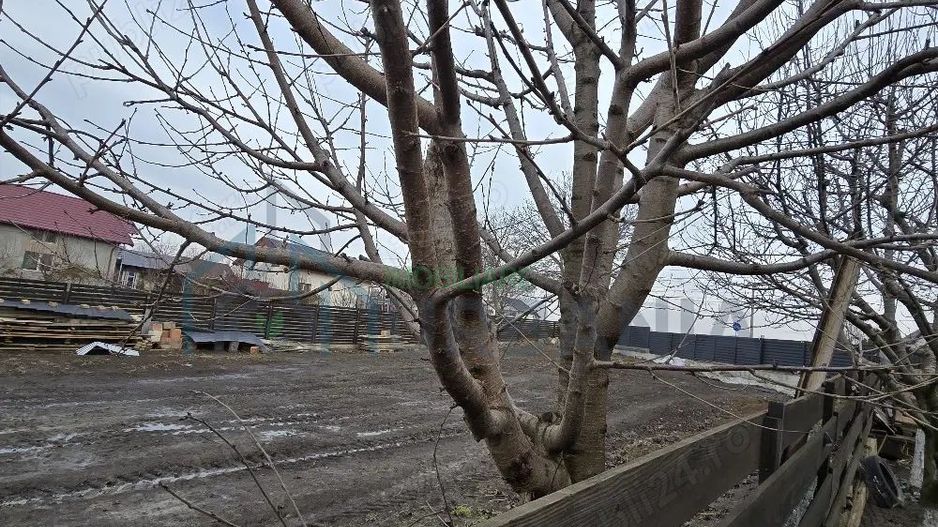 inchiriez 450mp teren la strada - Poză 1