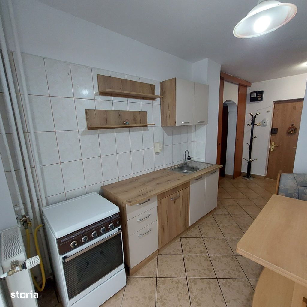 Apartament 2 camere Pet Friendly, complet mobilat si utilat, Lujerului - Poză 5