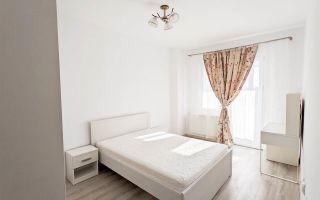 AP 2 CAM NOU TUDOR OANCEA TATARASI - Poză 1