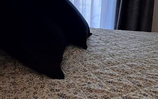 Apartament la cheie / Zona Vivo - Poză 9