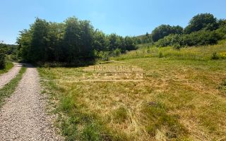 Teren intravilan 3.667 mp de vânzare – Str. Cismea, Botoșani - Poză 2