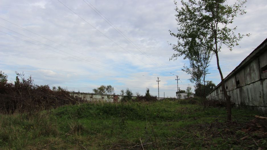 Vanzare hale Mosnita Noua-fosta Ferma 7 - Poză 16