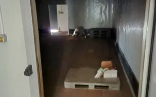 HALA ideala pentru PRODUCTIE ALIMENTARA, Poiana, Ovidiu – 827 mp, teren 4066 mp - Poză 26