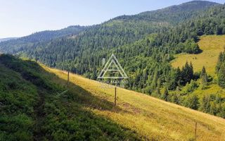 7130 mp TEREN INTRAVILAN ARIESENI-ALBA langa viitoarea partie de SCHI - Poză 1