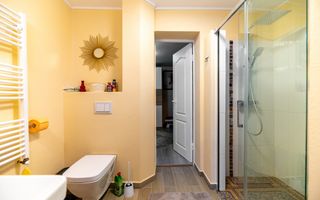 Casa + Pensiune deosebita - Orlat, Sibiu - Poză 9