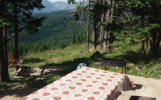 Cabană în Rânca cu 500 mp teren și panoramă impresionantă - Poză 9