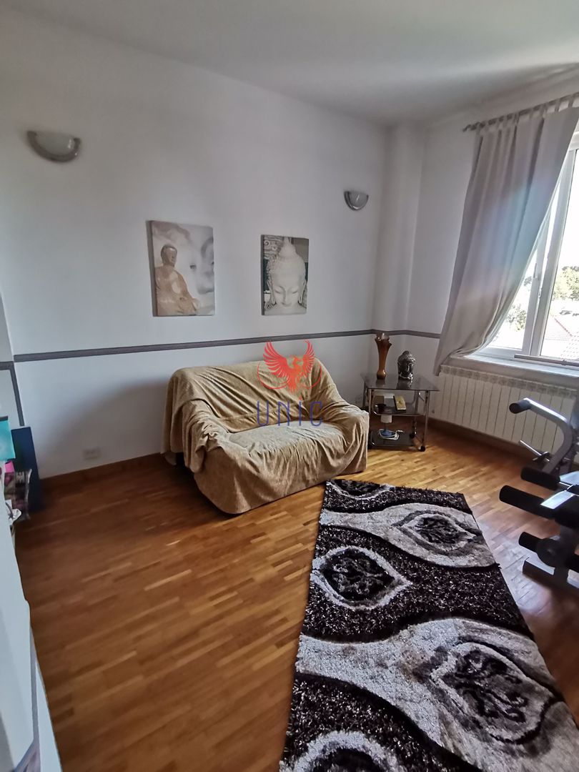 Vila Brazda lui Novac zona Paltinis - Poză 19