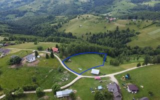 Oportunitate Investitie | Teren Pestera | 4.649mp | Utilitati Gaz/Curent | PUZ - Poză 5