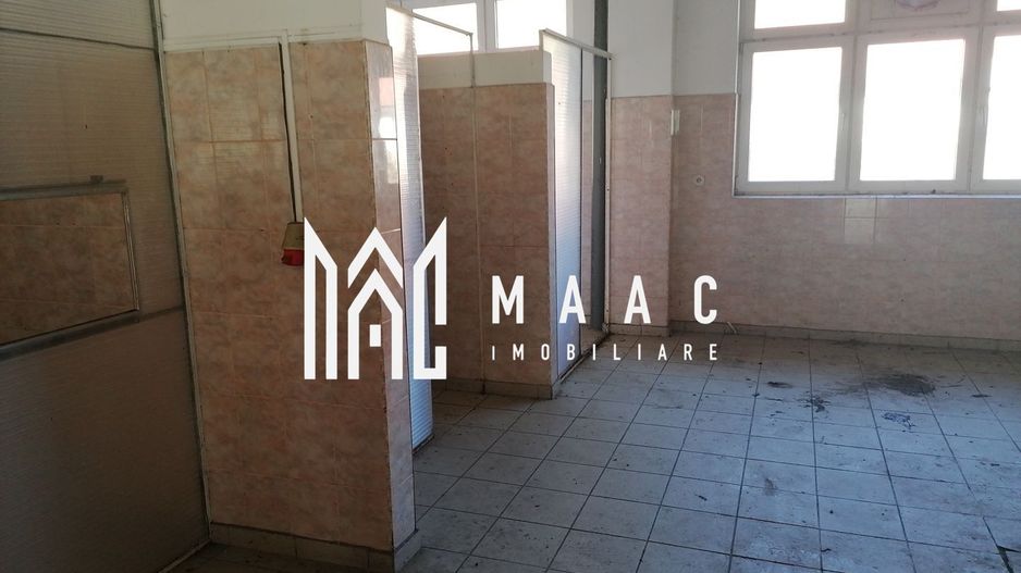 Teren 20000 mp I 3 corpuri cladire I Cristian - Poză 12