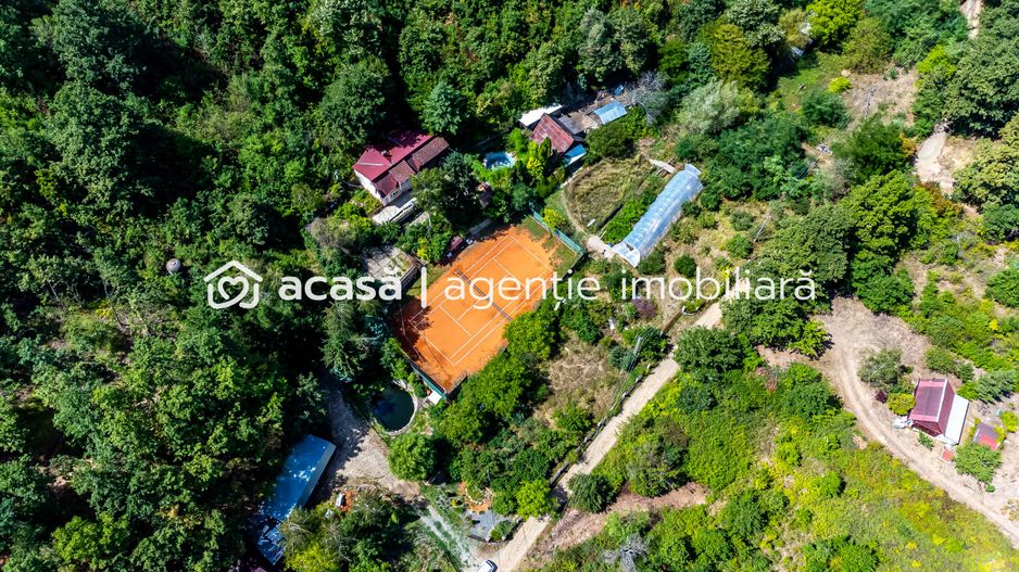 PROPRIETATE VÂNDUTĂ Casă conac cu 15.000 mp deal împădurit la Barațca, - Poză 15
