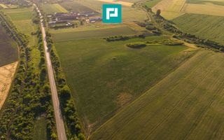 TEREN EXTRAVILAN DE 42.200 MP SECUSIGIU - Poză 9
