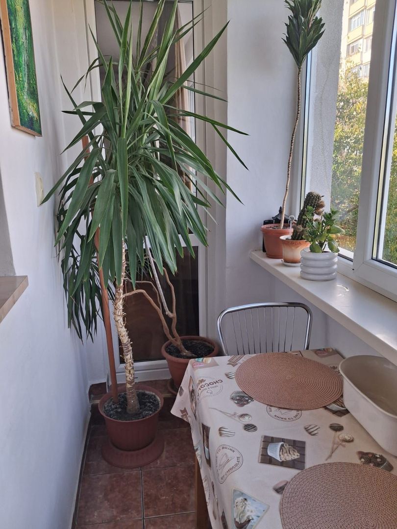 AP. 3 CAMERE BD. BASARABIA, BUCATARIE INCHISA, MOBILAT/UTILAT - Poză 11