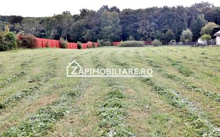 Teren Intravilan 5400 mp Corunca Valea Iubirii - Poză 2