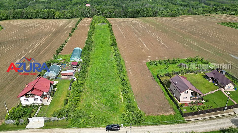 AZURA Imobiliare - Teren Mosoaia - Poză 15