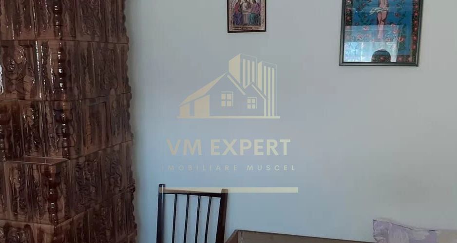 CASA 3 CAMERE, TEREN 5000 MP, RUCAR, ARGES - Poză 7