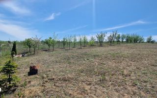 Teren intravilan de vanzare in zona Copou, langa Pensiunea Carolina, Iasi - Poză 9