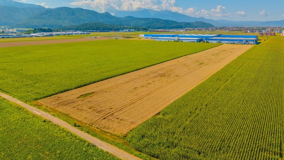 Teren Intravilan constructii hale Cristian - Poză 2