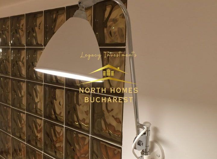 Apartament tip duplex in zona Capitale,  221mp: parter + demisol - Poză 12