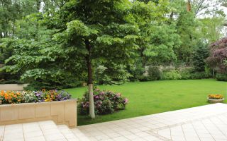 Vila impresionantă cu 15 camere, situată în zona Barbu Văcărescu - Poză 10