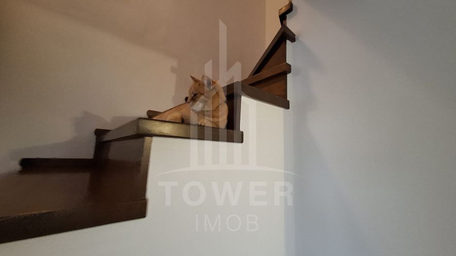 Casa  tip duplex, de inchiriat ,in cartier  Bavaria. - Poză 14